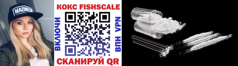 OMG как зайти Дмитров COCAIN FishScale