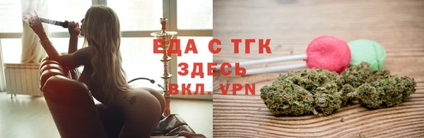 индика Горняк