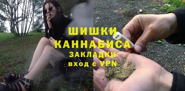 шишки Волоколамск