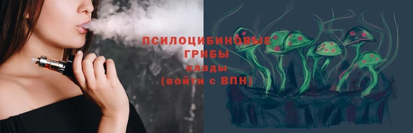 шишки Волоколамск