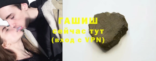индика Горняк