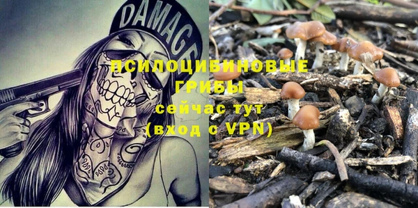 не бодяженный Волосово
