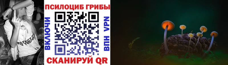 Галлюциногенные грибы Cubensis  купить наркотики цена  Дмитров 